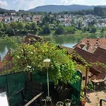 Neckarblick,natur, Altstadt Hirschhorn