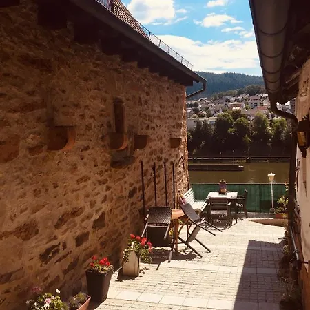 Neckarblick,natur, Altstadt * ヒルシュホルン