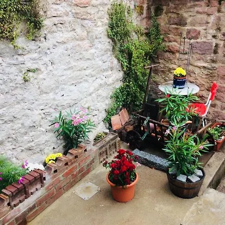 Apartament Neckarblick,natur, Altstadt *