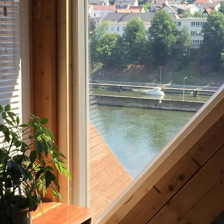 Neckarblick,natur, Altstadt * ヒルシュホルン