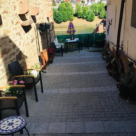 Neckarblick,natur, Altstadt *