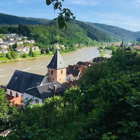 Neckarblick,natur, Altstadt * Hirschhorn