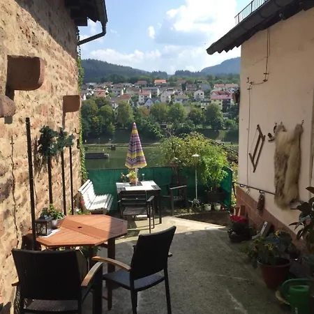 Neckarblick,natur, Altstadt * ヒルシュホルン