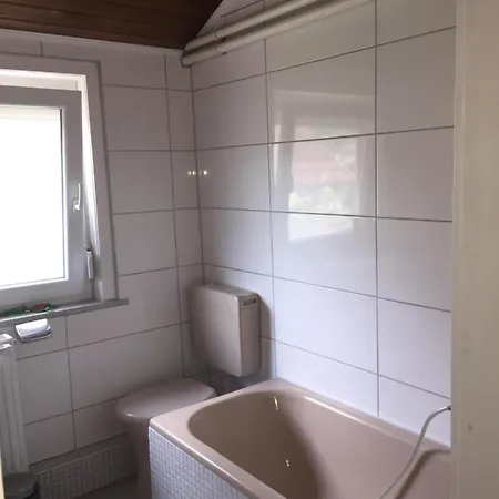 Apartman Neckarblick,natur, Altstadt *