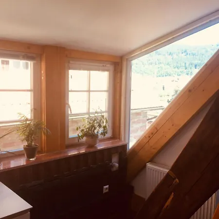 Apartman Neckarblick,natur, Altstadt