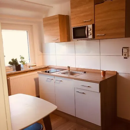 Neckarblick,natur, Altstadt Apartman *