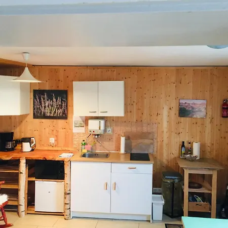 Neckarblick,natur, Altstadt アパート ヒルシュホルン