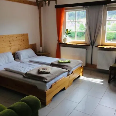 Neckarblick,natur, Altstadt * ヒルシュホルン