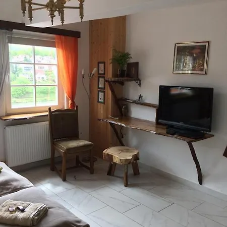 Neckarblick,natur, Altstadt * ヒルシュホルン