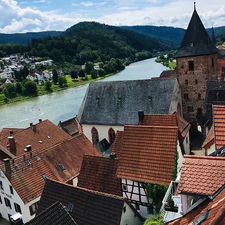 Neckarblick Historische Altstadt Und Sonnenterrasse