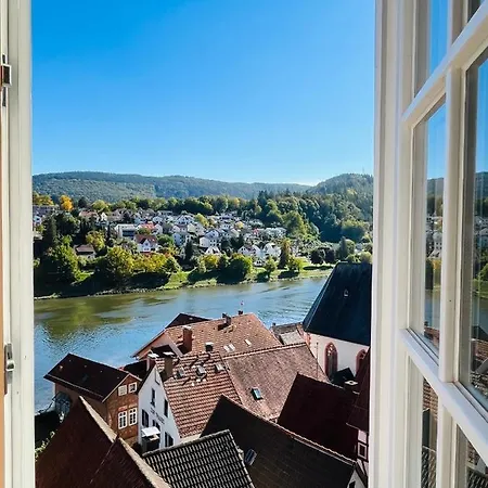 Neckarblick Historische Altstadt Und Sonnenterrasse Hirschhorn