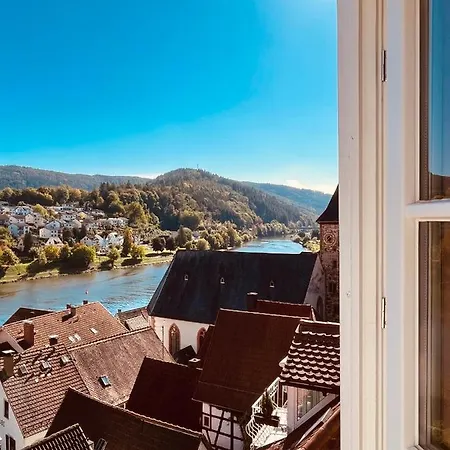 Neckarblick Historische Altstadt Und Sonnenterrasse Hirschhorn