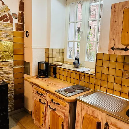 Neckarblick,natur, Altstadt *