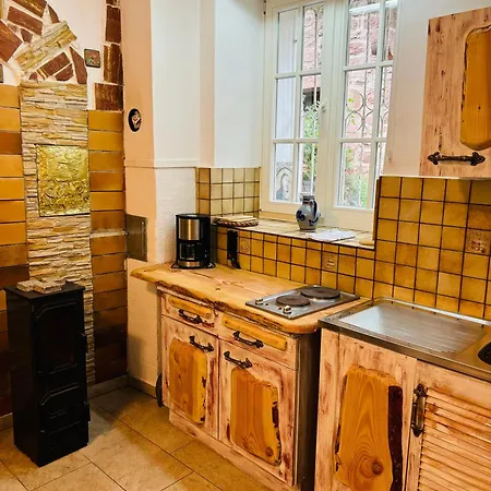 Neckarblick,natur, Altstadt *