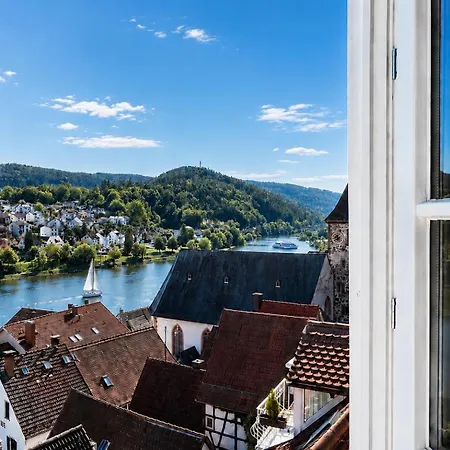 Neckarblick Historische Altstadt Und Sonnenterrasse アパート