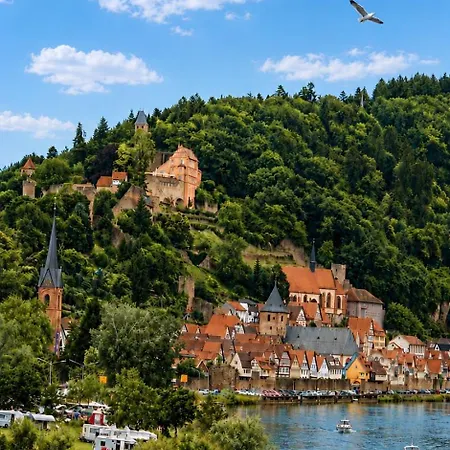 Neckarblick Historische Altstadt Und Sonnenterrasse アパート ヒルシュホルン