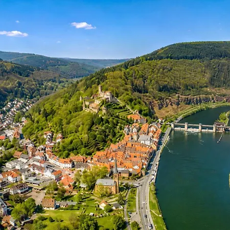 Neckarblick Historische Altstadt Und Sonnenterrasse アパート