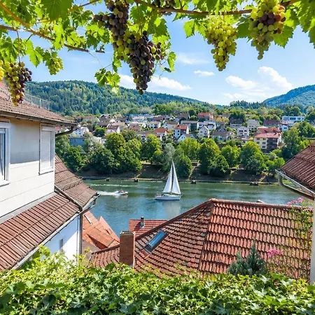 Neckarblick Historische Altstadt Und Sonnenterrasse アパート *