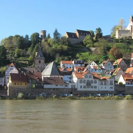 Neckarblick,natur, Altstadt * Hirschhorn