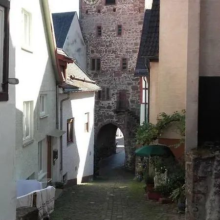 Neckarblick Historische Altstadt Und Sonnenterrasse Hirschhorn