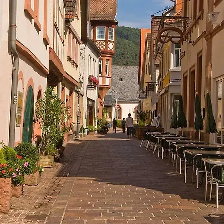 Neckarblick Historische Altstadt Und Sonnenterrasse Apartman Hirschhorn