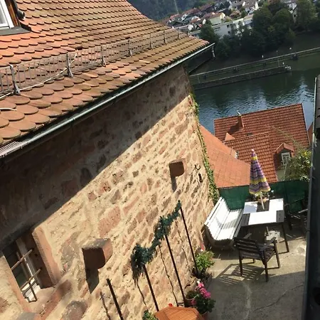 Apartment Neckarblick,natur, Altstadt *
