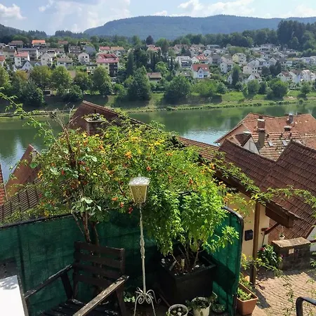 Neckarblick Historische Altstadt Und Sonnenterrasse ヒルシュホルン