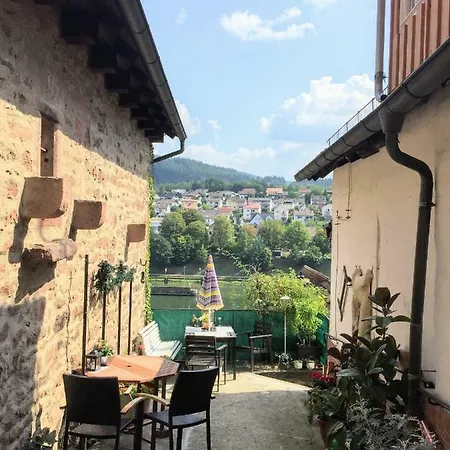 Neckarblick Historische Altstadt Und Sonnenterrasse *
