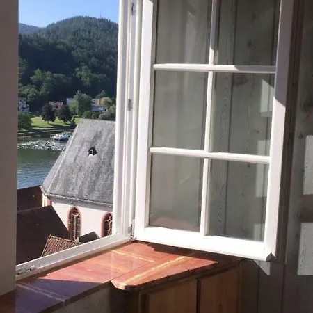 Neckarblick,natur, Altstadt * Hirschhorn