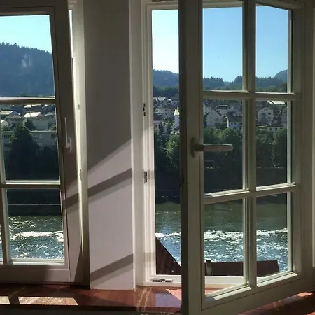 Neckarblick,natur, Altstadt *