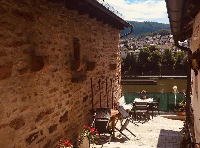Neckarblick,natur, Altstadt * Hirschhorn
