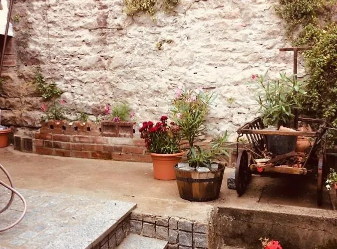 Neckarblick,natur, Altstadt *