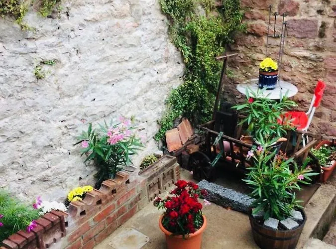 Apartamento Neckarblick,natur, Altstadt *