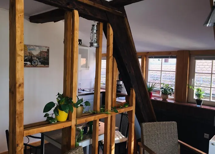 Neckarblick,natur, Altstadt Apartmán