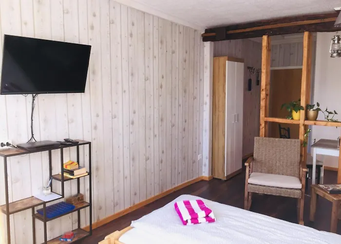 Apartmán Neckarblick,natur, Altstadt *