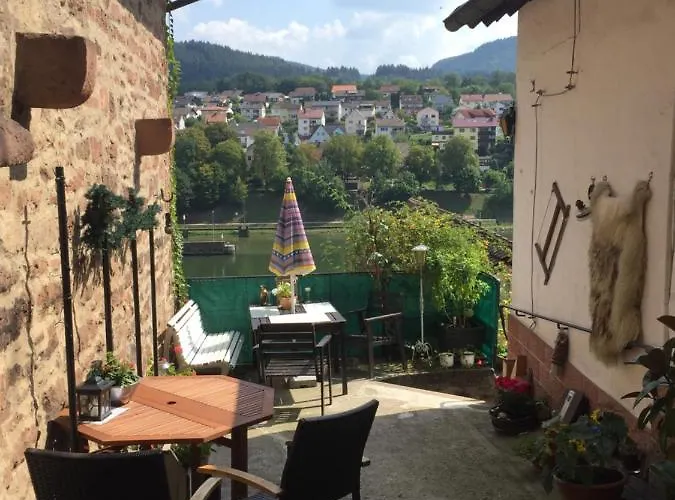 Neckarblick,natur, Altstadt * Hirschhorn