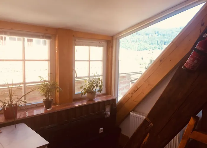 Apartmán Neckarblick,natur, Altstadt