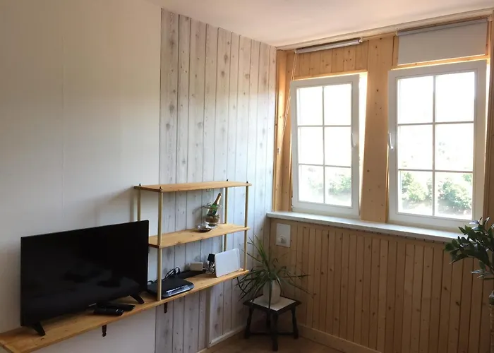 Apartmán Neckarblick,natur, Altstadt Hirschhorn