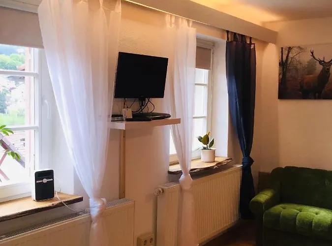 Apartmán Neckarblick,natur, Altstadt Hirschhorn