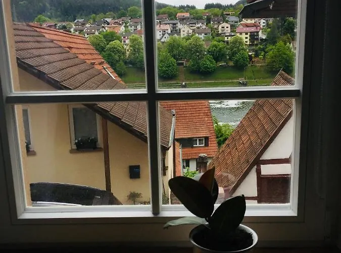 Neckarblick,natur, Altstadt Apartamento Hirschhorn