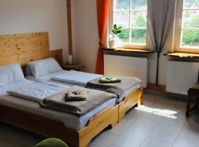 Neckarblick,natur, Altstadt * Hirschhorn