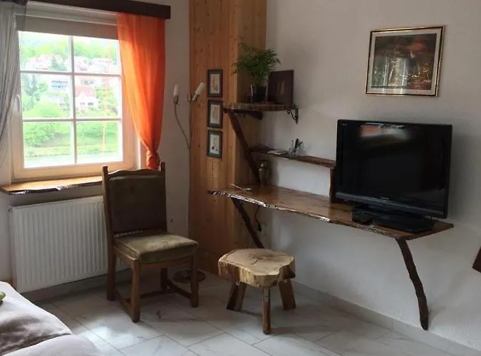 Neckarblick,natur, Altstadt * Hirschhorn