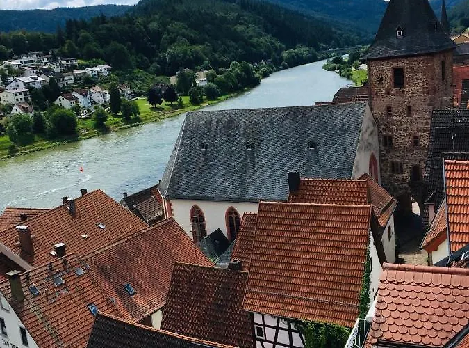 Neckarblick,natur, Altstadt
