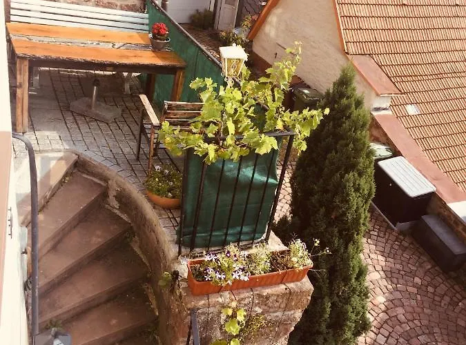 Apartmán Neckarblick,natur, Altstadt *