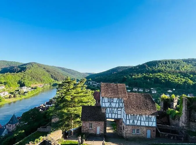 Neckarblick,natur, Altstadt * Hirschhorn