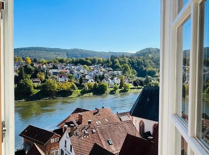 Neckarblick,natur, Altstadt Hirschhorn