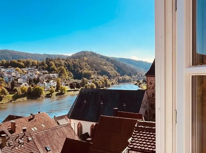 Neckarblick,natur, Altstadt Hirschhorn