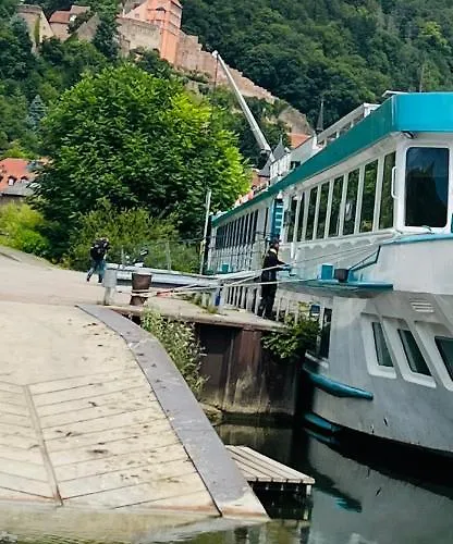 Neckarblick,natur, Altstadt Apartmán