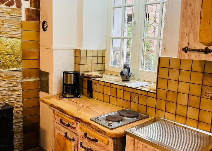 Neckarblick,natur, Altstadt *