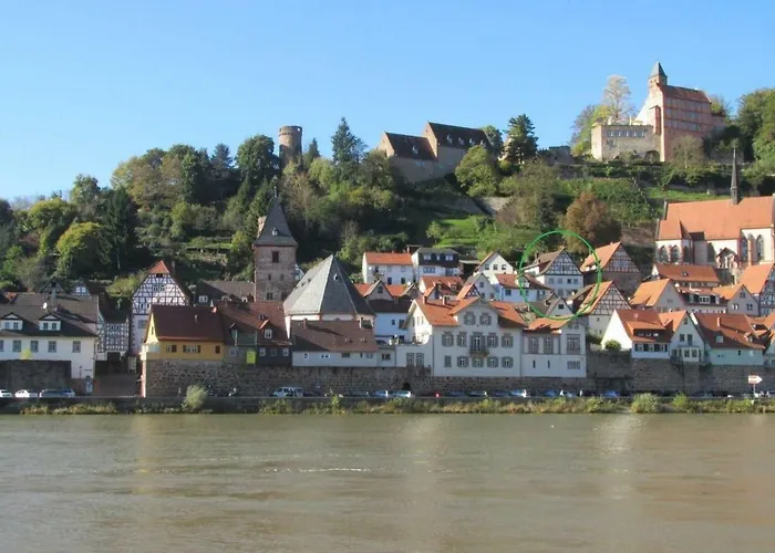Neckarblick,natur, Altstadt * Hirschhorn